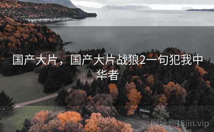 国产大片,国产大片战狼2一句犯我中华者  第1张 国产大片,国产大片战狼2一句犯我中华者  第1张