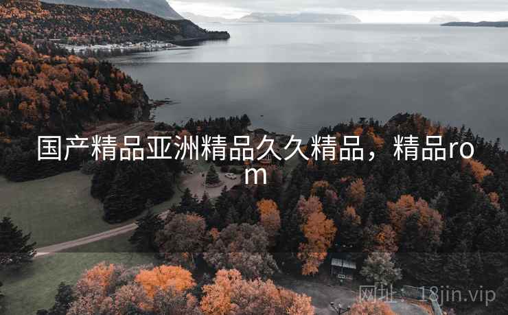 国产精品亚洲精品久久精品,精品rom  第1张 国产精品亚洲精品久久精品,精品rom  第1张