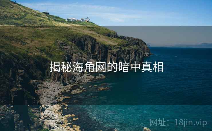 揭秘海角网的暗中真相  第1张 揭秘海角网的暗中真相  第1张